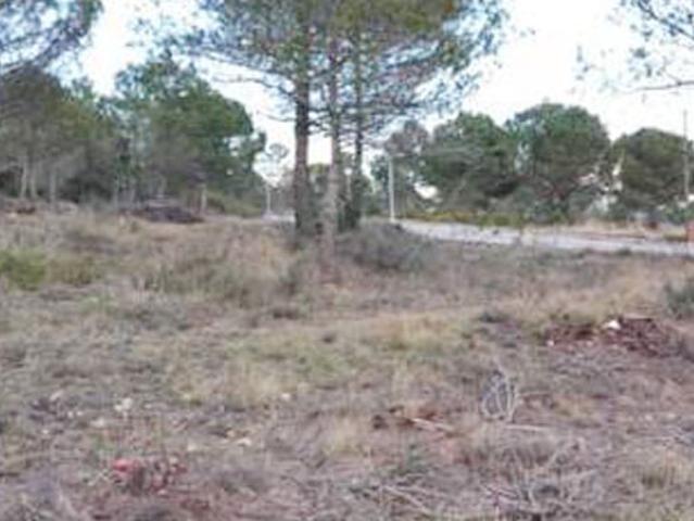 Terreno en venta en Alt Penedès, Catalunya
