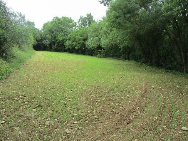 Terreno en venta en Alt Empordà, Catalunya