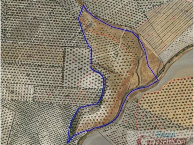 Terreno en venta en Porcuna, Andalucía