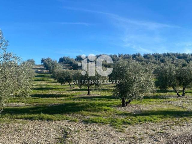 Terreno en venta en Porcuna, Andalucía