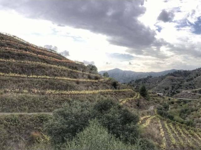 Terreno en venta en Priorat, Catalunya