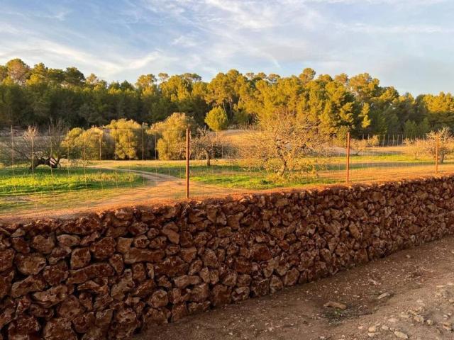 Terreno en venta en Pla de Mallorca, Baleares