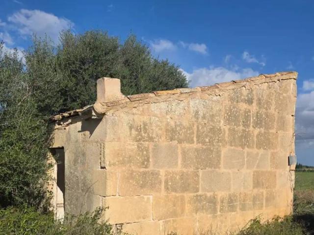 Terreno en venta en Pla de Mallorca, Baleares