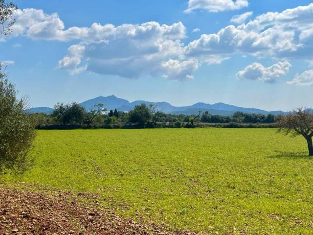 Terreno en venta en Pla de Mallorca, Baleares