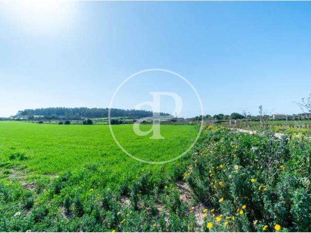 Terreno en venta en Pla de Mallorca, Baleares