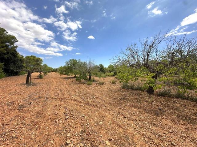 Terreno en venta en Pla de Mallorca, Baleares