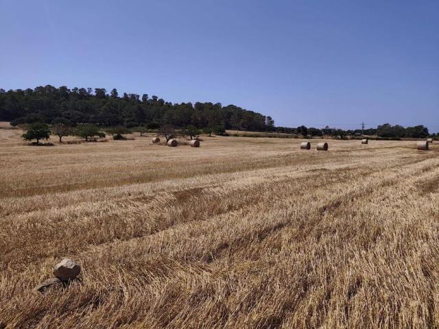 Terreno en venta en Pla de Mallorca, Baleares