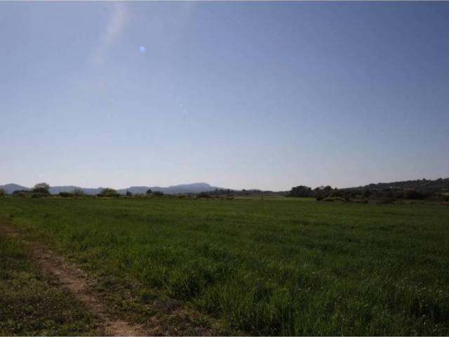 Terreno en venta en Pla de Mallorca, Baleares