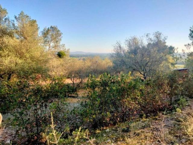 Terreno en venta en Pla de Mallorca, Baleares