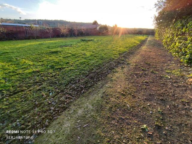 Terreno en venta en Coria, Extremadura