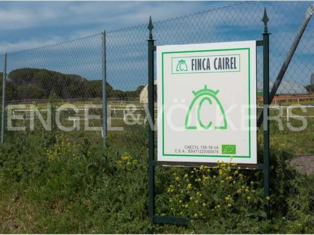 Terreno en venta en Portillo, Castilla y León