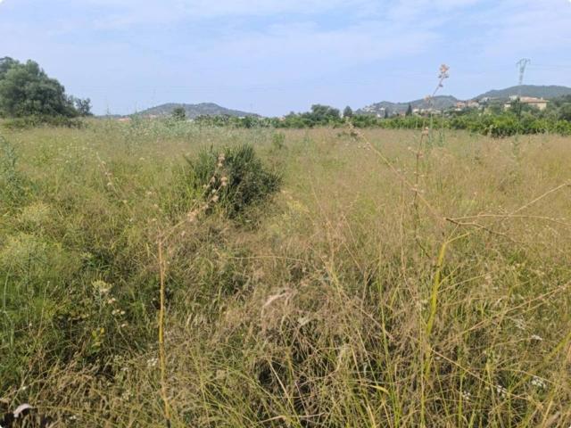 Terreno en venta en la Safor, Valencia
