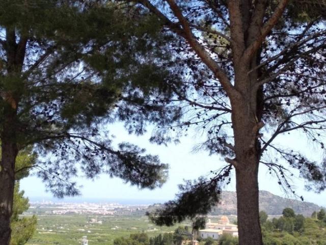 Terreno en venta en la Safor, Valencia