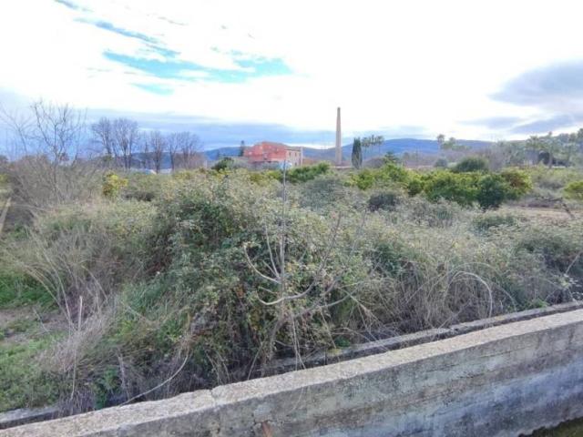 Terreno en venta en la Safor, Valencia