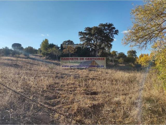 Terreno en venta en Povedilla, Castilla-La Mancha