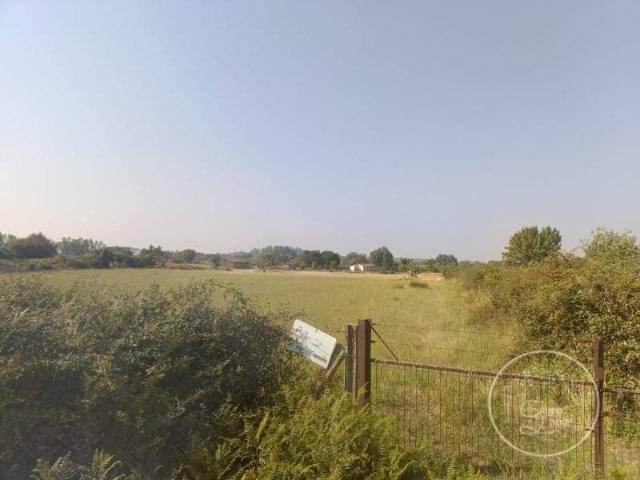 Terreno en venta en Poyales Del Hoyo, Castilla y León
