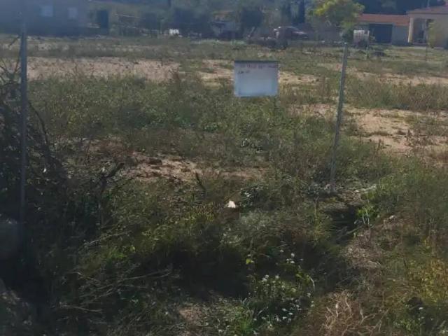 Terreno en venta en Pozo Cañada, Castilla-La Mancha