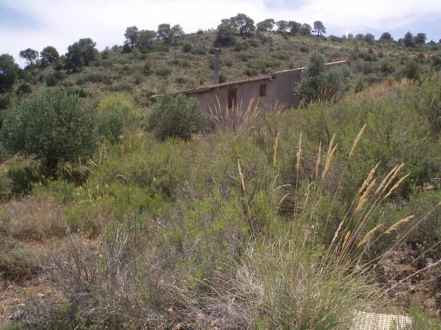 Terreno en venta en Pozohondo, Castilla-La Mancha