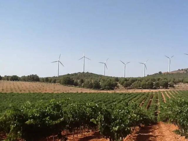 Terreno en venta en Pozohondo, Castilla-La Mancha