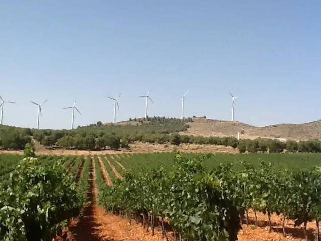 Terreno en venta en Pozohondo, Castilla-La Mancha