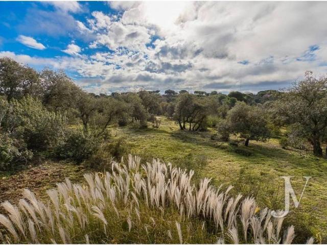Terreno en venta en Pozuelo De Alarcón, Madrid