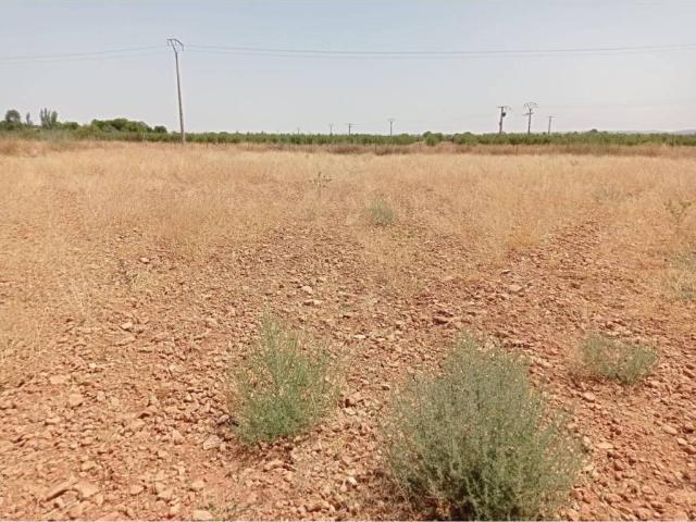 Terreno en venta en Pozuelo De Calatrava, Castilla-La Mancha