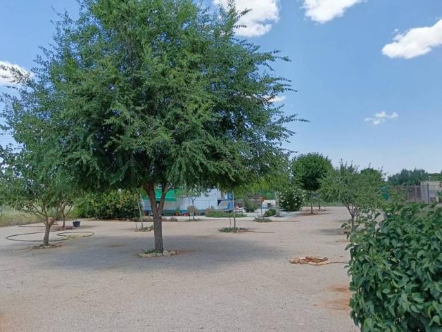 Terreno en venta en Pozuelo De Calatrava, Castilla-La Mancha
