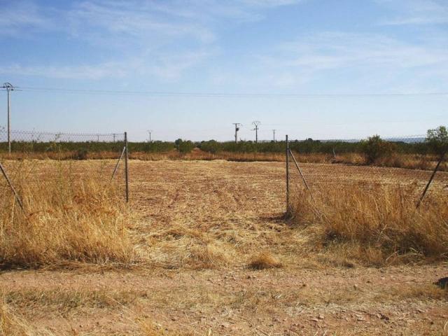 Terreno en venta en Pozuelo De Calatrava, Castilla-La Mancha