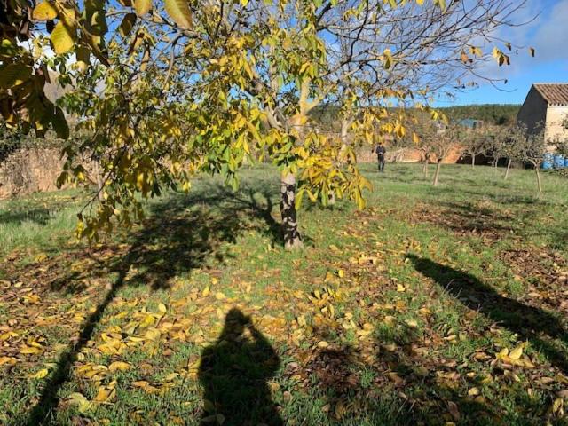 Terreno en venta en Prádanos De Ojeda, Castilla y León