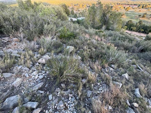 Terreno en venta en Baix Camp, Catalunya