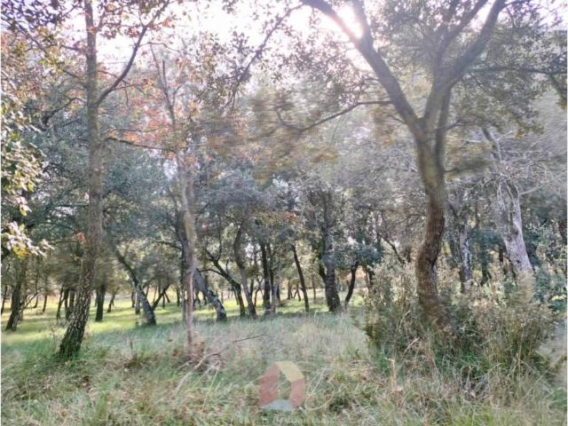 Terreno en venta en Lluçanès, Catalunya