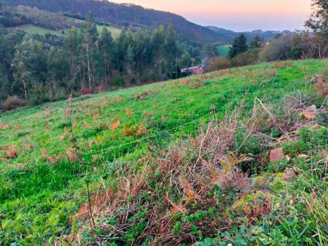 Terreno en venta en Pravia, Asturias