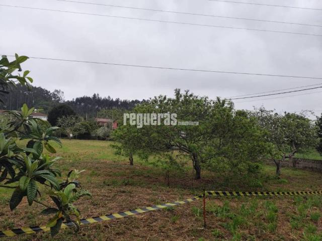 Terreno en venta en Pravia, Asturias