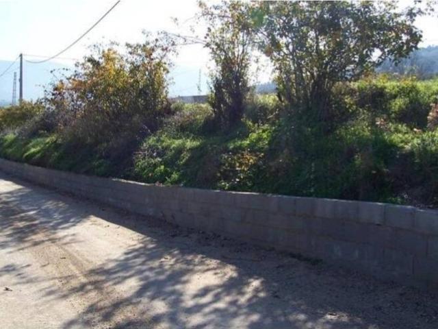 Terreno en venta en Priego De Córdoba, Andalucía