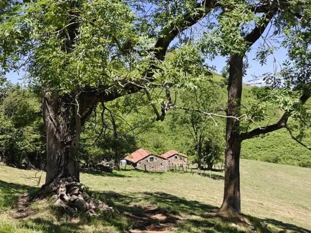Terreno en venta en Proaza, Asturias