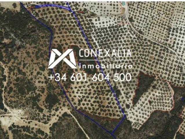 Terreno en venta en Pruna, Andalucía