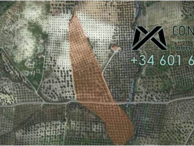 Terreno en venta en Sierra de Cádiz, Andalucía