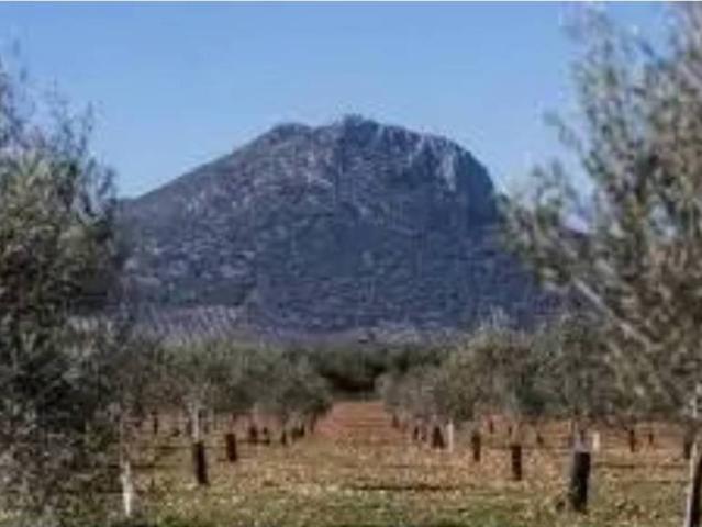 Terreno en venta en Pruna, Andalucía