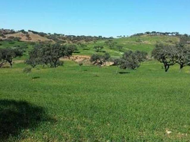 Terreno en venta en Puebla De Guzmán