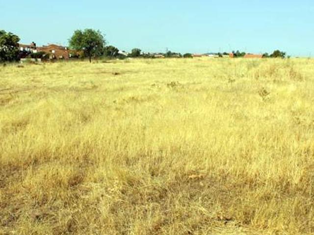 Terreno en venta en Puebla De Sancho Pérez, Puebla de Sancho Pérez