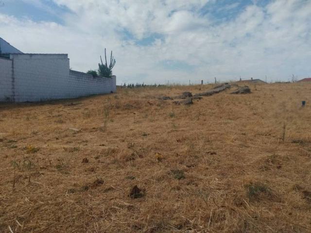 Terreno en venta en Zafra - Río Bodión, Extremadura