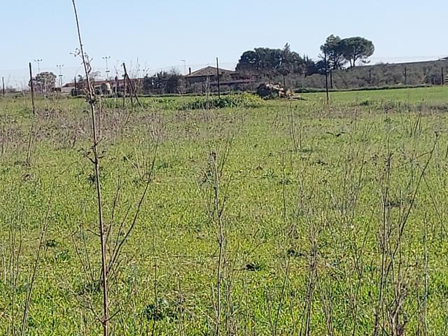 Terreno en venta en Zafra - Río Bodión, Extremadura