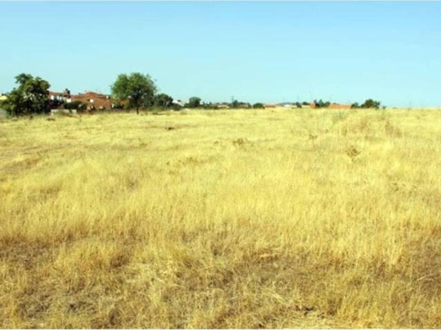 Terreno en venta en Puebla De Sancho Pérez, Badajoz