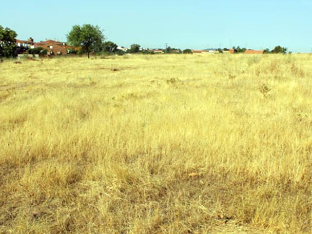 Terreno en venta en Zafra - Río Bodión, Extremadura