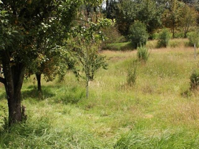 Terreno en venta en Tlahuapan, Puebla