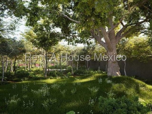Terreno en venta en Celestún, Yucatán