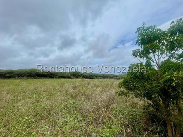 Terreno en venta en Pueblo Nuevo, Falcón