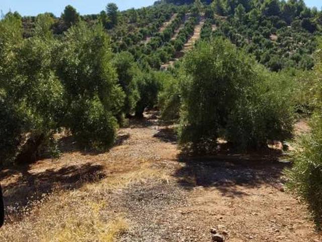 Terreno en venta en Puente De Génave, Andalucía