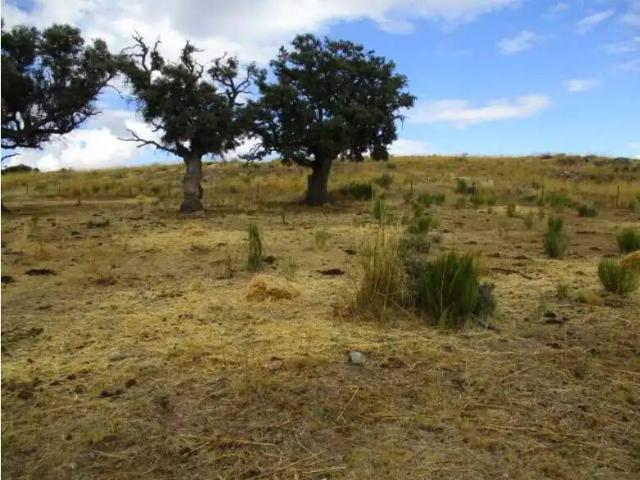 Terreno en venta en Puente Del Congosto, Castilla y León