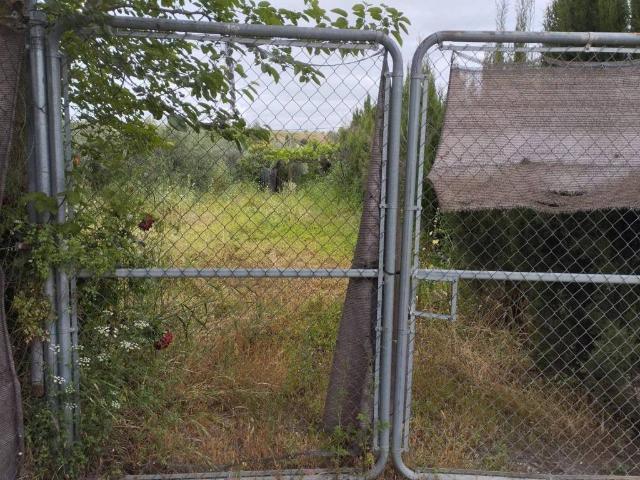 Terreno en venta en Puente Genil, Andalucía